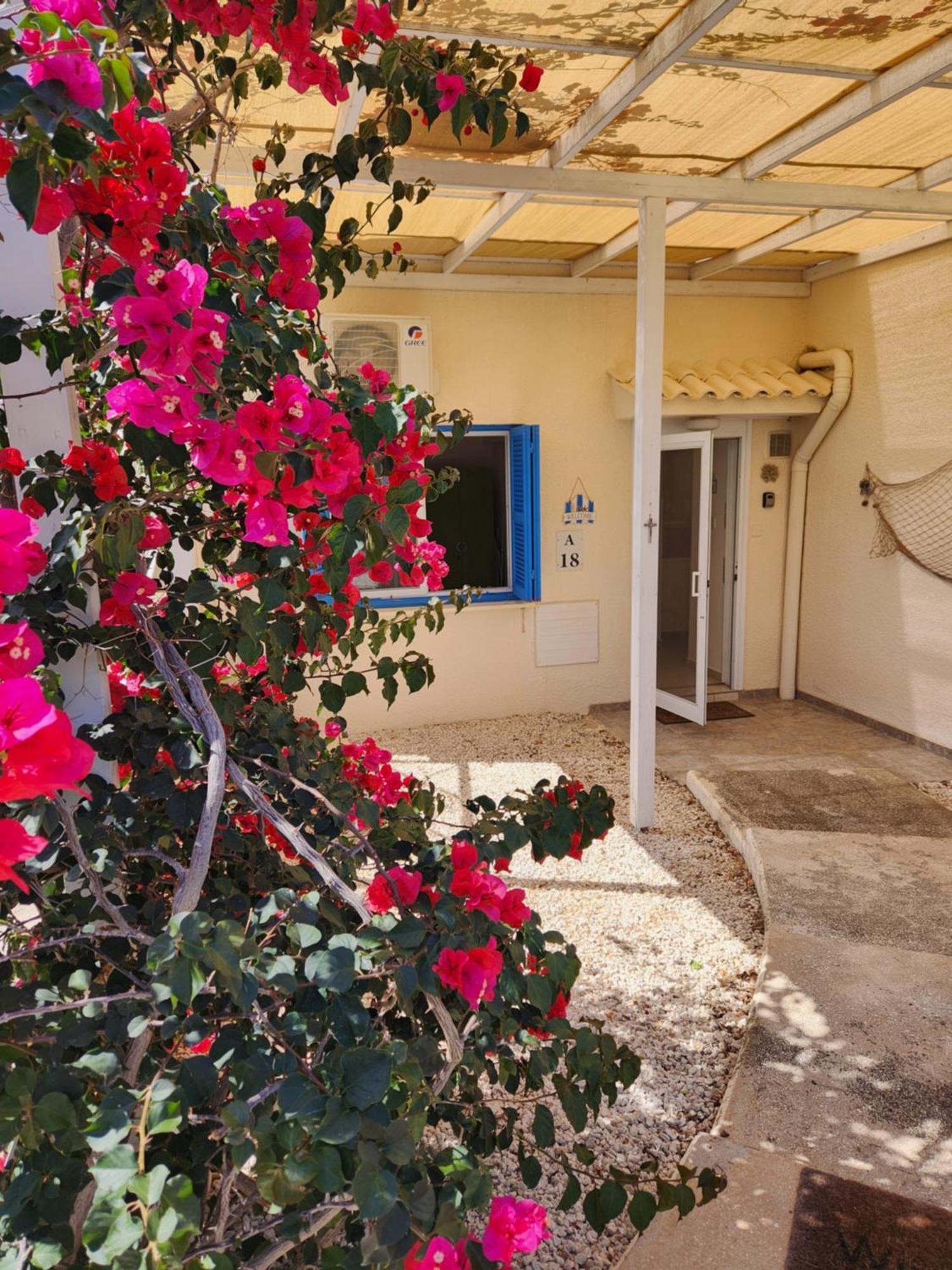 Appartement Ocean Pearl à Peyia Extérieur photo